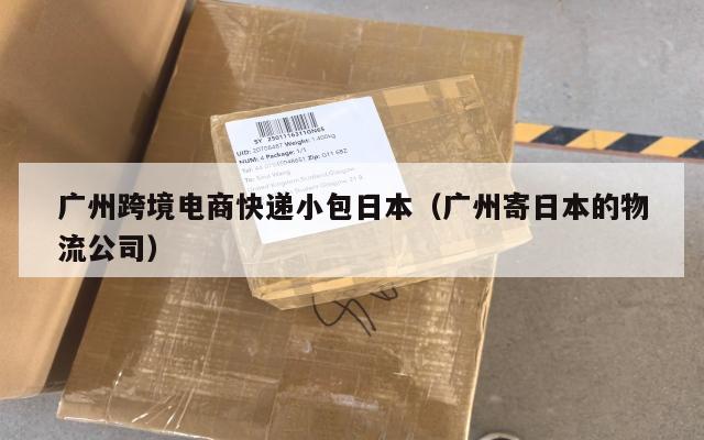 广州跨境电商快递小包日本(广州寄日本的物流公司)