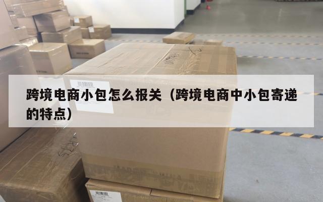 跨境电商小包怎么报关(跨境电商中小包寄递的特点)