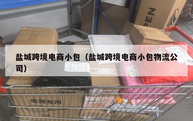 盐城跨境电商小包(盐城跨境电商小包物流公司)