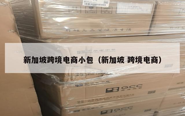 新加坡跨境电商小包(新加坡 跨境电商)