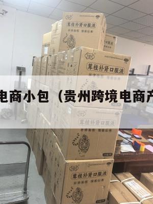 贵州跨境电商小包(贵州跨境电商产业有限公司)