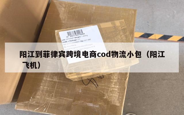 阳江到菲律宾跨境电商cod物流小包(阳江 飞机)