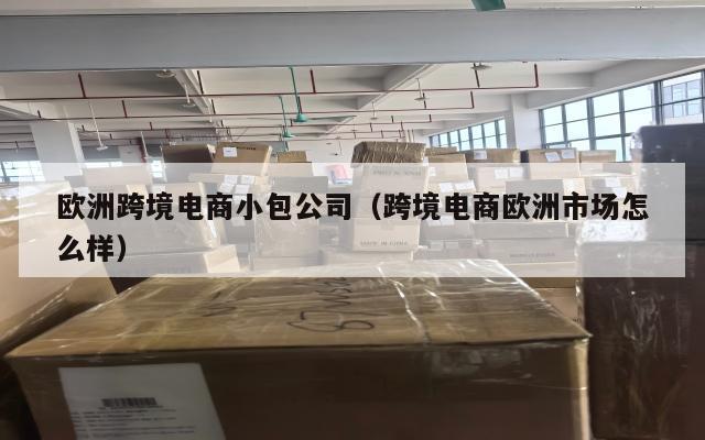 欧洲跨境电商小包公司(跨境电商欧洲市场怎么样)