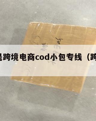 什么是跨境电商cod小包专线(跨境 cod)