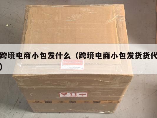 跨境电商小包发什么(跨境电商小包发货货代)