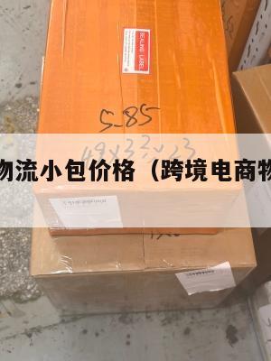 跨境电商物流小包价格(跨境电商物流收费标准)