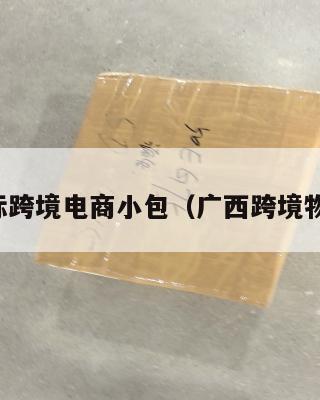 广西国际跨境电商小包(广西跨境物流通道)