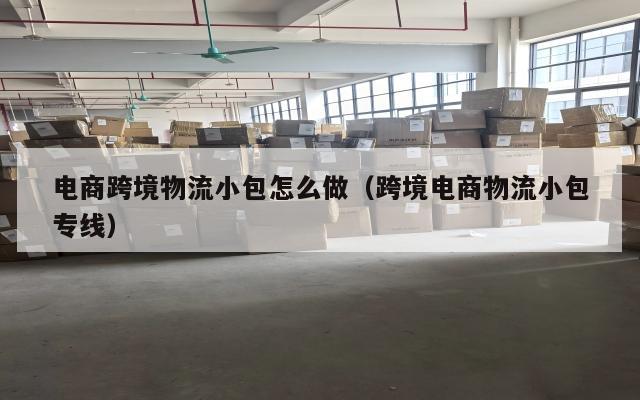 电商跨境物流小包怎么做(跨境电商物流小包专线)