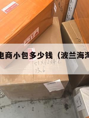 波兰跨境电商小包多少钱(波兰海淘有哪几家转运公司)