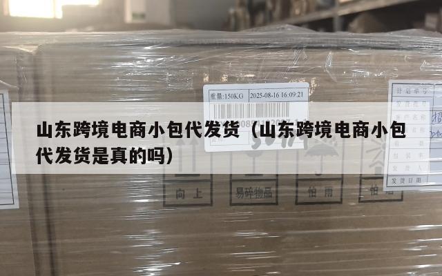 山东跨境电商小包代发货(山东跨境电商小包代发货是真的吗)