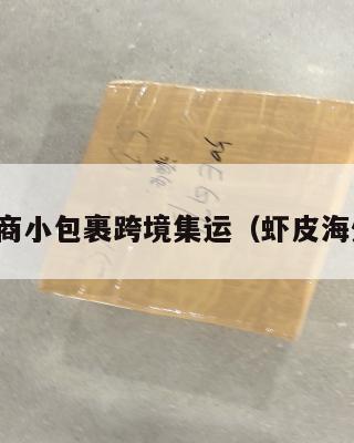 虾皮电商小包裹跨境集运(虾皮海外物流)