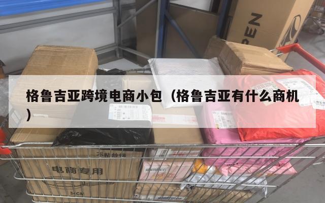 格鲁吉亚跨境电商小包(格鲁吉亚有什么商机)