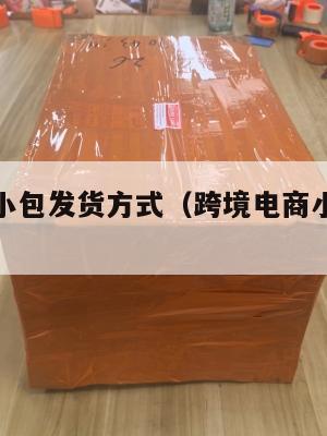 跨境电商小包发货方式(跨境电商小包发货货代)