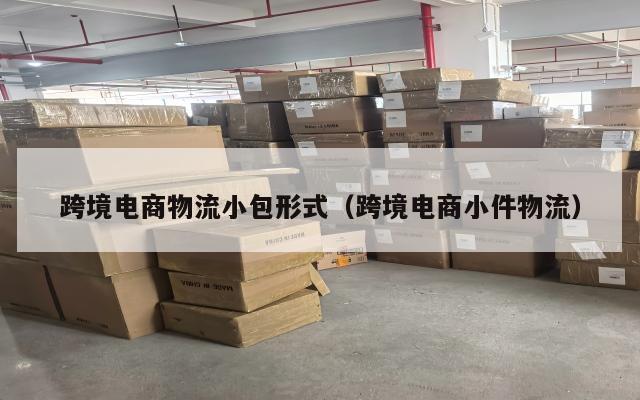 跨境电商物流小包形式(跨境电商小件物流)