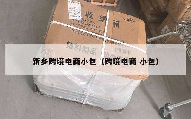 新乡跨境电商小包(跨境电商 小包)