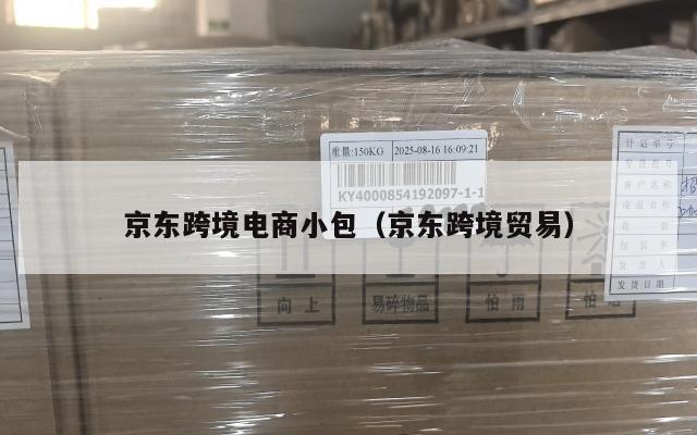 京东跨境电商小包(京东跨境贸易)