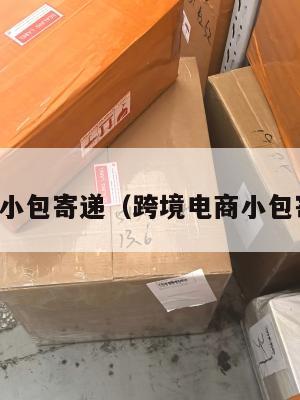 跨境电商小包寄递(跨境电商小包寄递特点)