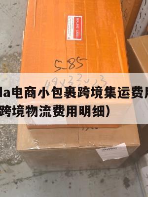 lazada电商小包裹跨境集运费用(lazada跨境物流费用明细)