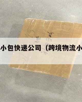 跨境电商小包快递公司(跨境物流小包是什么意思)