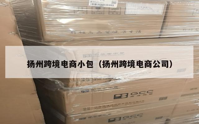 扬州跨境电商小包(扬州跨境电商公司)