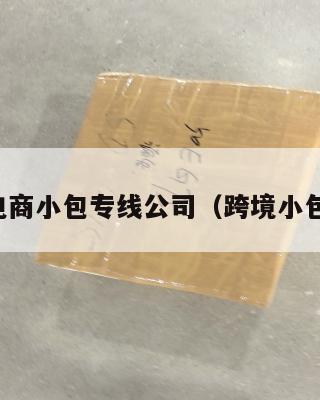 跨境电商小包专线公司(跨境小包价格)