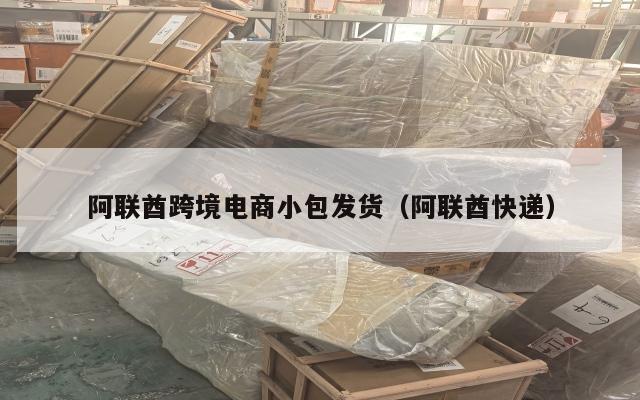 阿联酋跨境电商小包发货(阿联酋快递)