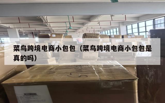 菜鸟跨境电商小包包(菜鸟跨境电商小包包是真的吗)