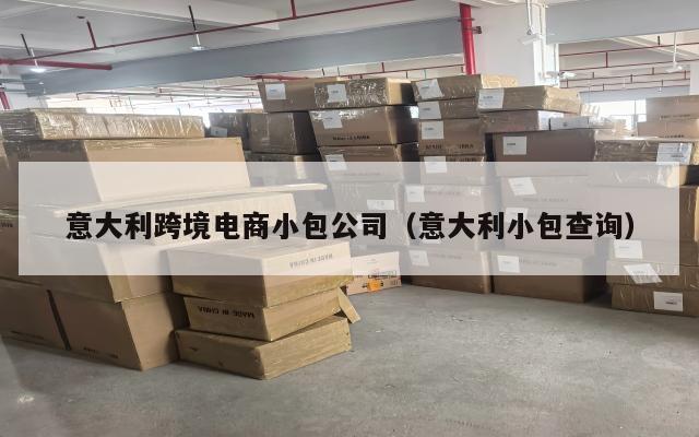 意大利跨境电商小包公司(意大利小包查询)