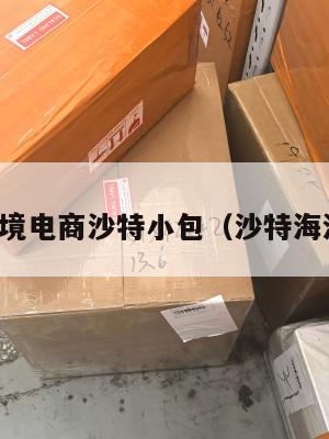 跨境电商沙特小包(沙特海淘)