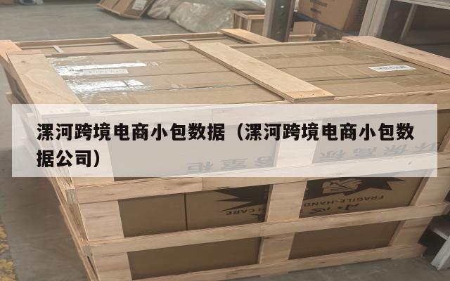 漯河跨境电商小包数据(漯河跨境电商小包数据公司)