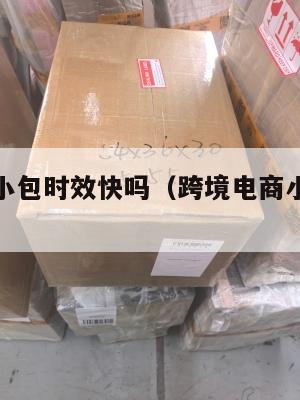 跨境电商小包时效快吗(跨境电商小包寄递特点)