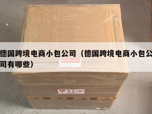 德国跨境电商小包公司(德国跨境电商小包公司有哪些)
