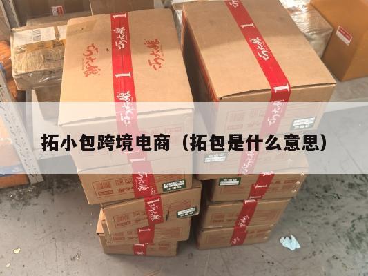 拓小包跨境电商(拓包是什么意思)