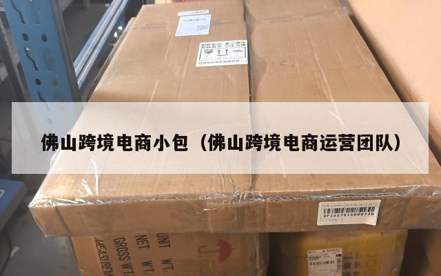 佛山跨境电商小包(佛山跨境电商运营团队)