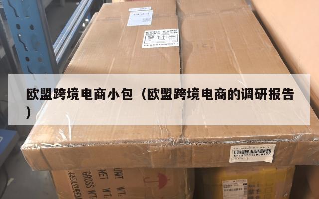 欧盟跨境电商小包(欧盟跨境电商的调研报告)
