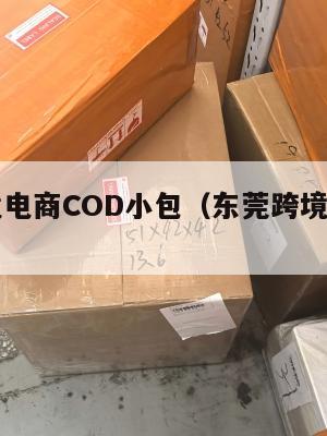 东莞跨境电商COD小包(东莞跨境电商公司)