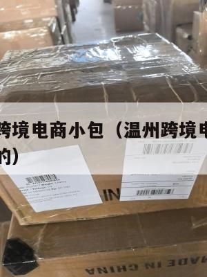 纽约温州跨境电商小包(温州跨境电商园主要是做什么的)