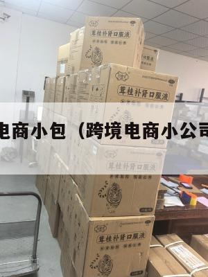 无锡跨境电商小包(跨境电商小公司待遇怎么样)