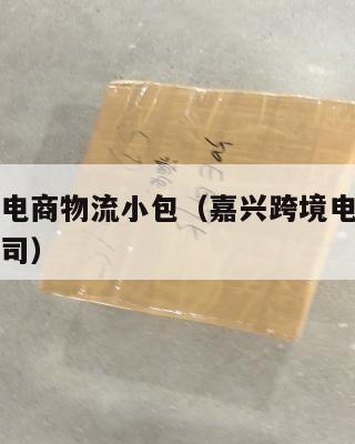 嘉兴跨境电商物流小包(嘉兴跨境电商物流小包物流公司)