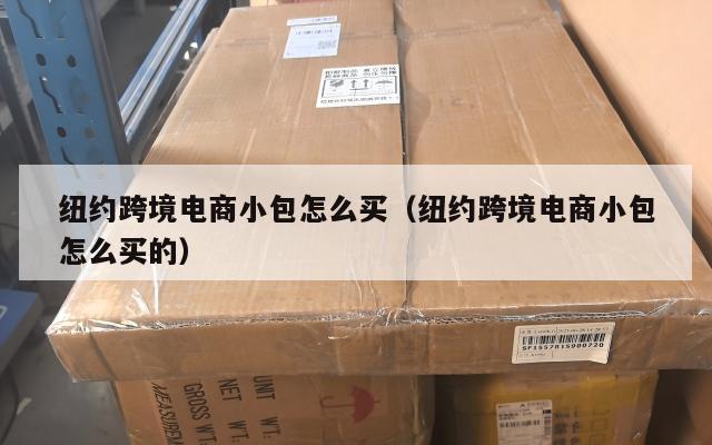 纽约跨境电商小包怎么买(纽约跨境电商小包怎么买的)