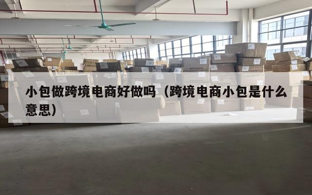 小包做跨境电商好做吗(跨境电商小包是什么意思)