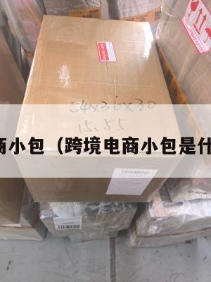 跨境电商小包(跨境电商小包是什么意思)
