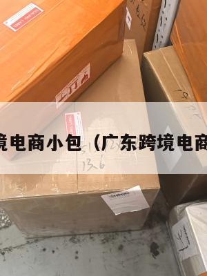 阳江跨境电商小包(广东跨境电商产业园)