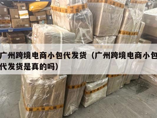 广州跨境电商小包代发货(广州跨境电商小包代发货是真的吗)