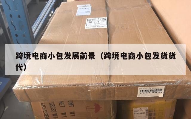 跨境电商小包发展前景(跨境电商小包发货货代)