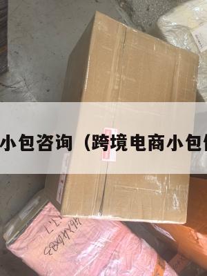 跨境电商小包咨询(跨境电商小包做什么的)