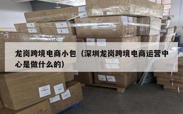 龙岗跨境电商小包(深圳龙岗跨境电商运营中心是做什么的)