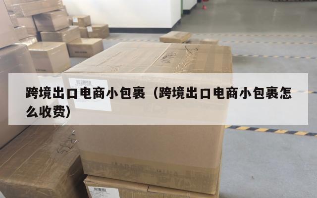 跨境出口电商小包裹(跨境出口电商小包裹怎么收费)