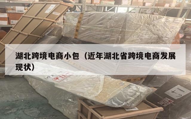 湖北跨境电商小包(近年湖北省跨境电商发展现状)