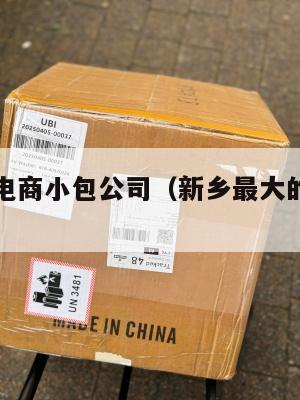 新乡跨境电商小包公司(新乡最大的电商公司)